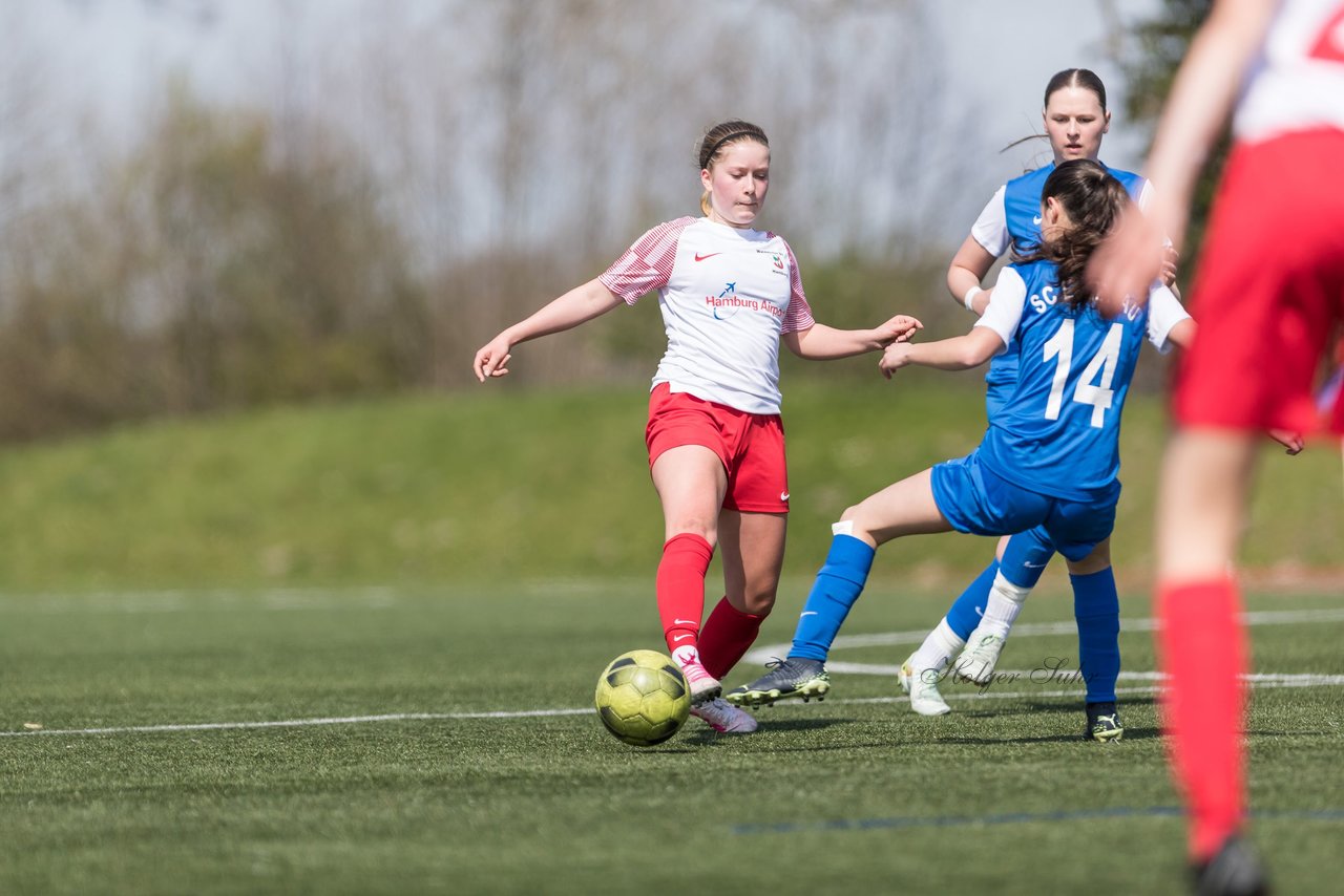 Bild 194 - wBJ SC Ellerau - Walddoerfer SV : Ergebnis: 1:8